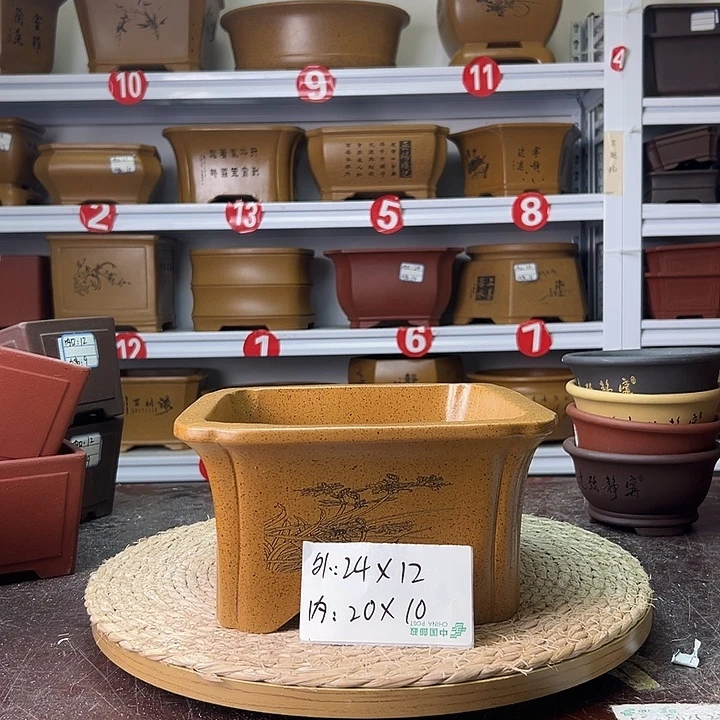 紫砂花盆蛇年大吉