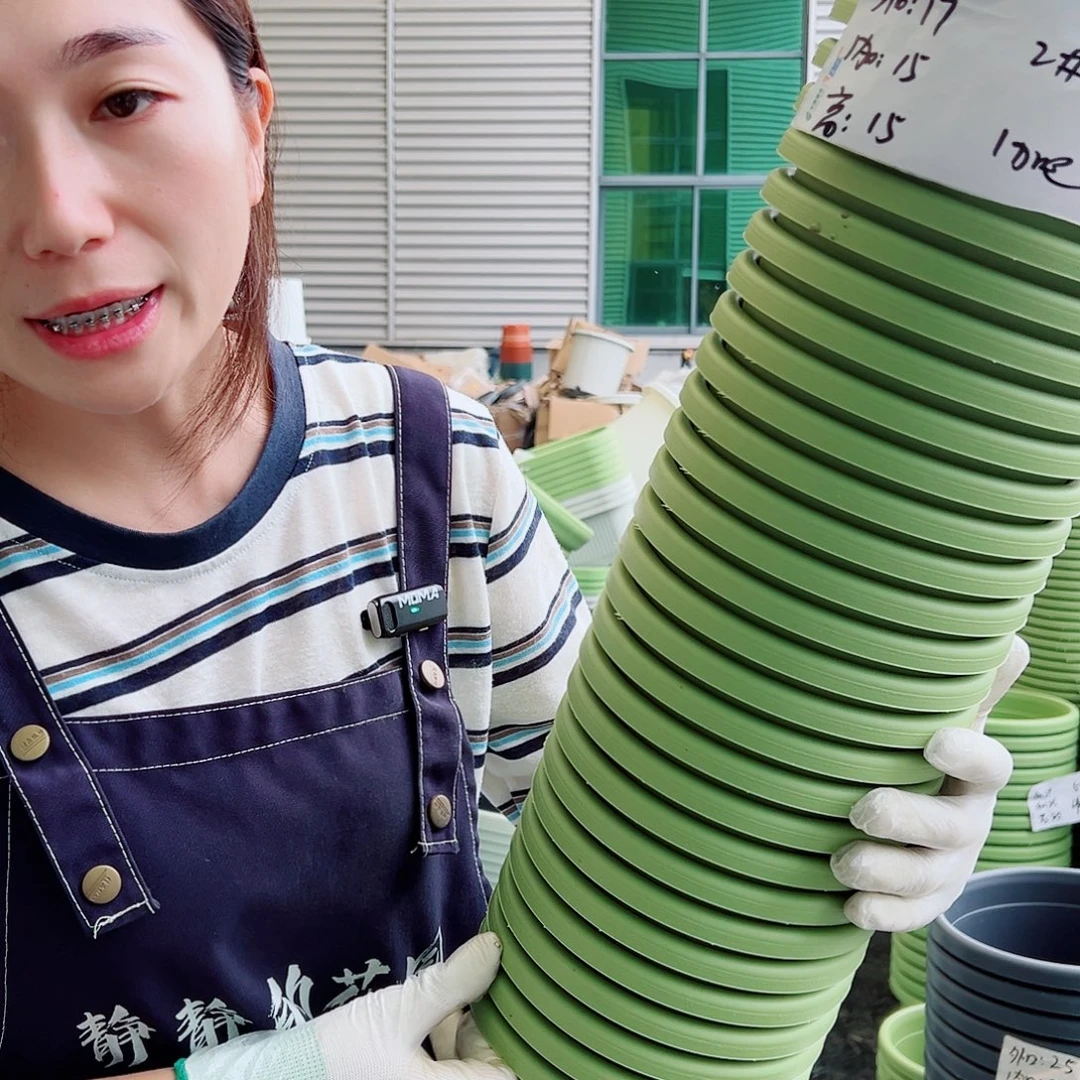 瑕疵四季盆2#果绿10个无托