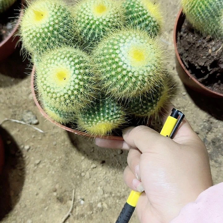 用****7哈哈哈哈哈哈哈