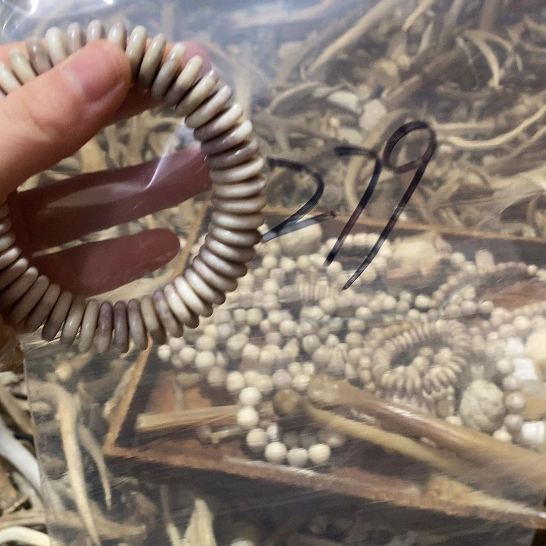 大***子非金属鹿鹿角鹿角鹿角