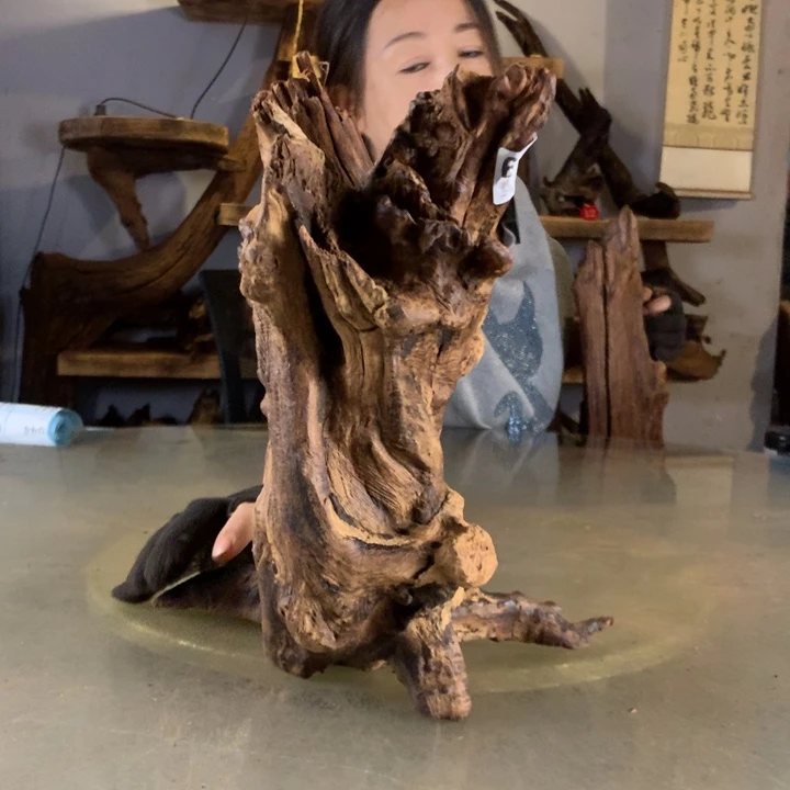 时***机天然的云南紫柚木会黄水