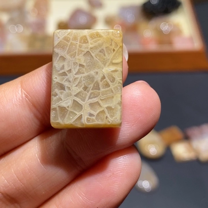 【闪购商品】未镶嵌珊瑚玉硅化玉