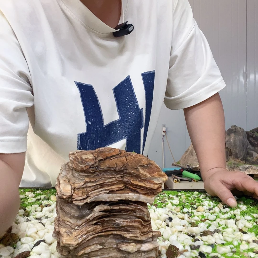 娜天然奇石鱼缸造景
