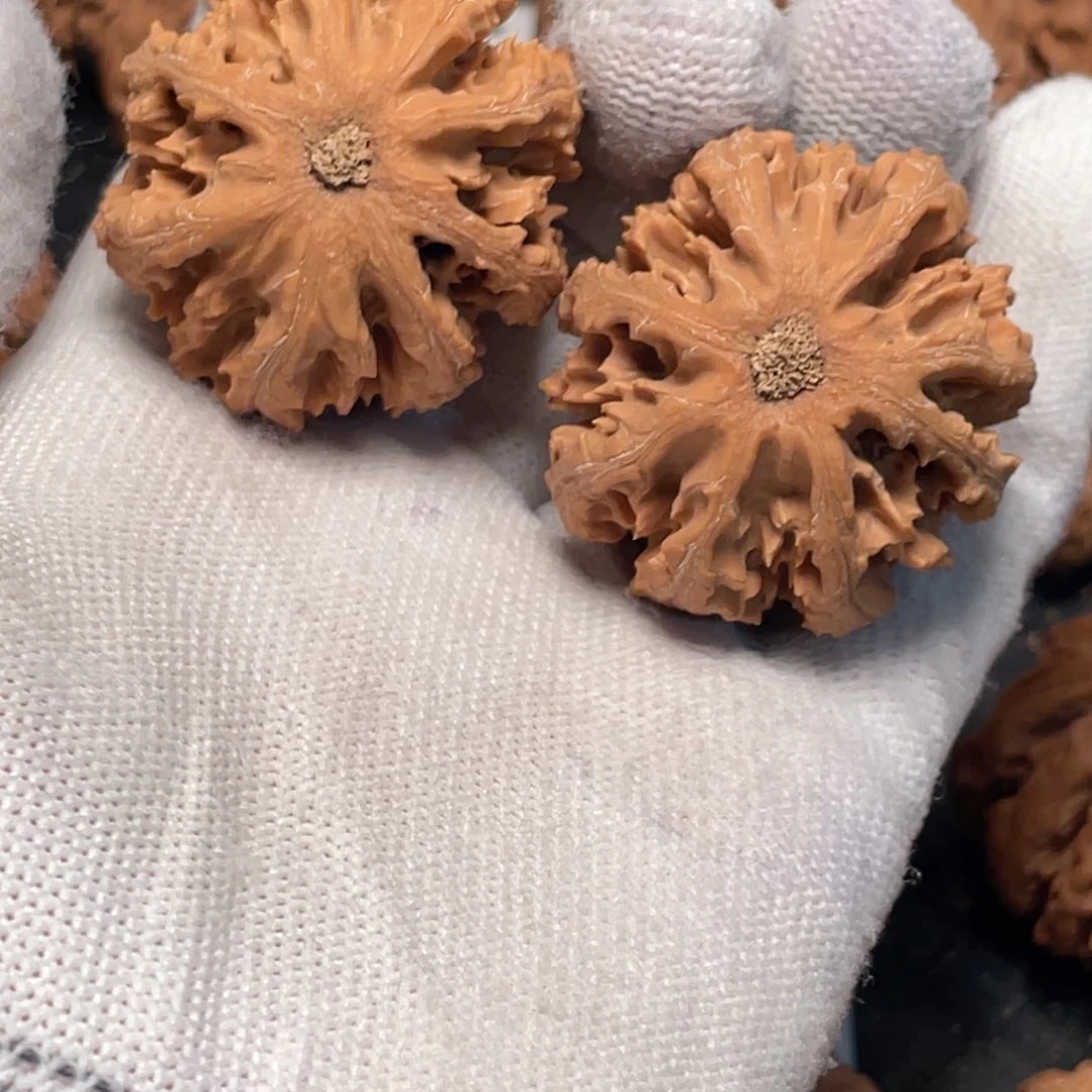 白***呀桃核吊坠7秦岭灯笼野生小众