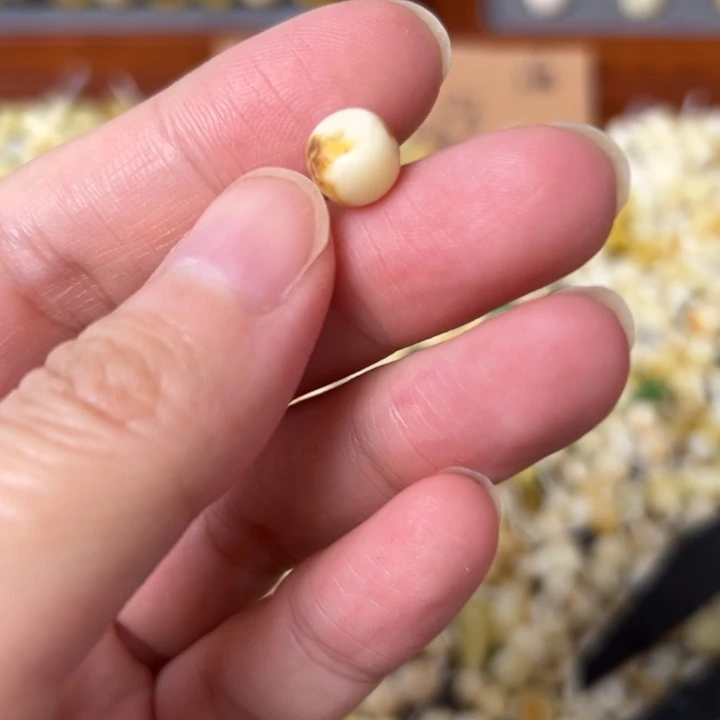 蜜蜡未镶嵌裸石7.9mm一个