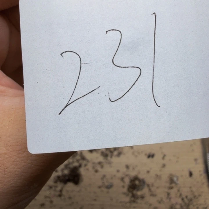 佳***辉多肉植物的生长发育231