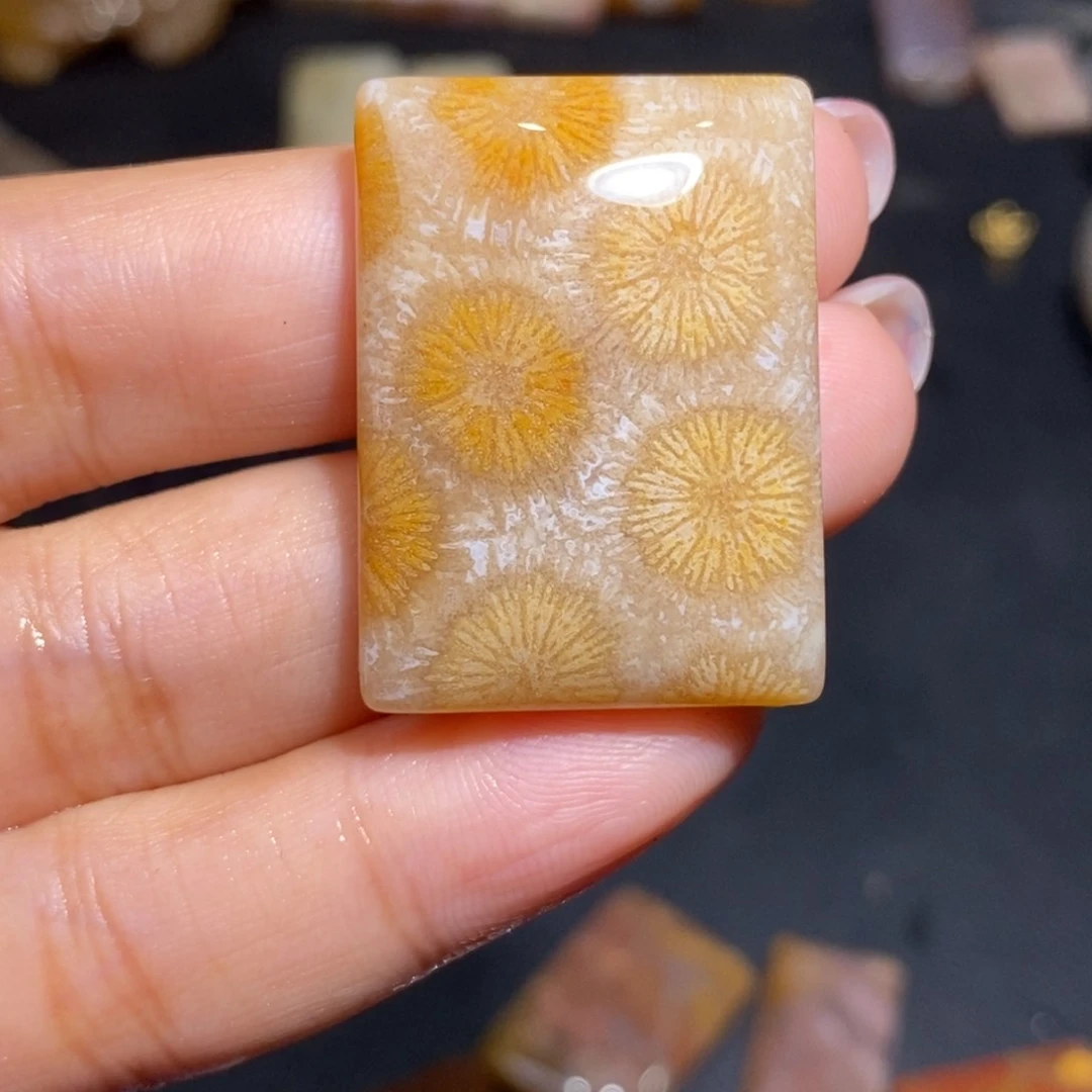 【闪购商品】硅化玉珊瑚玉未镶嵌