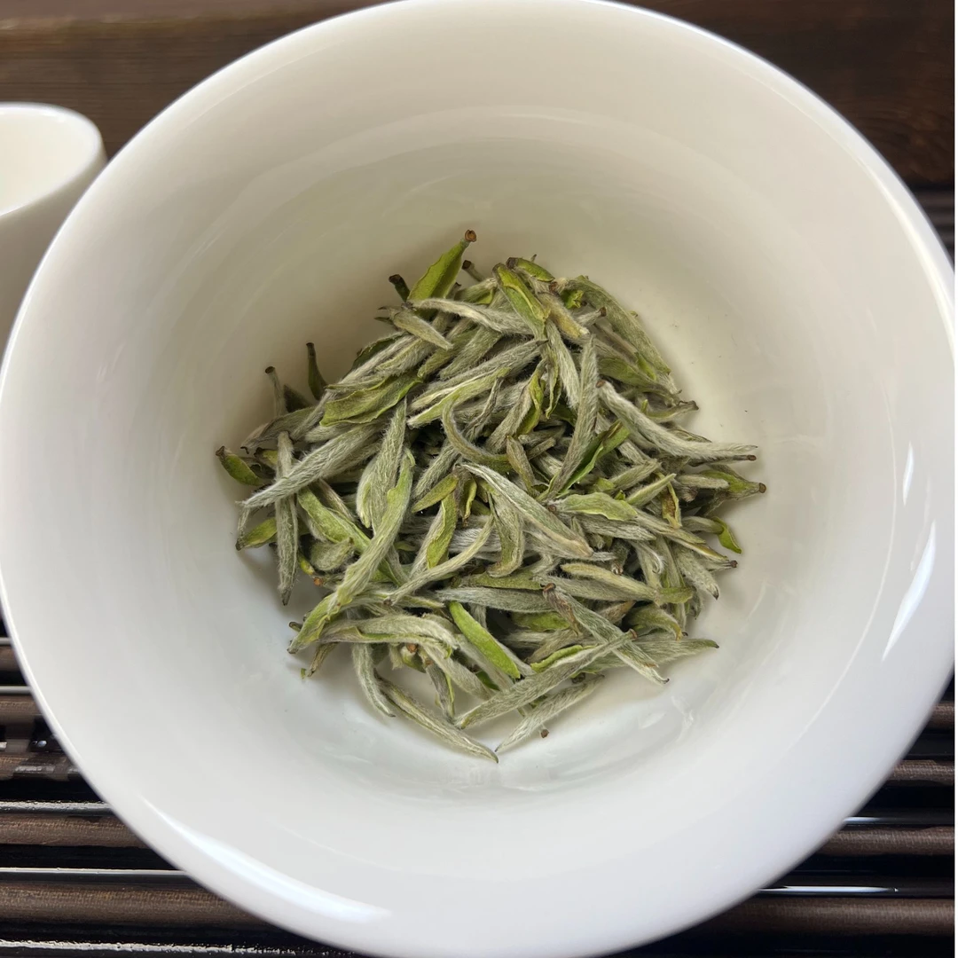 兮荒藏金▪2025年特级首采白毫银针