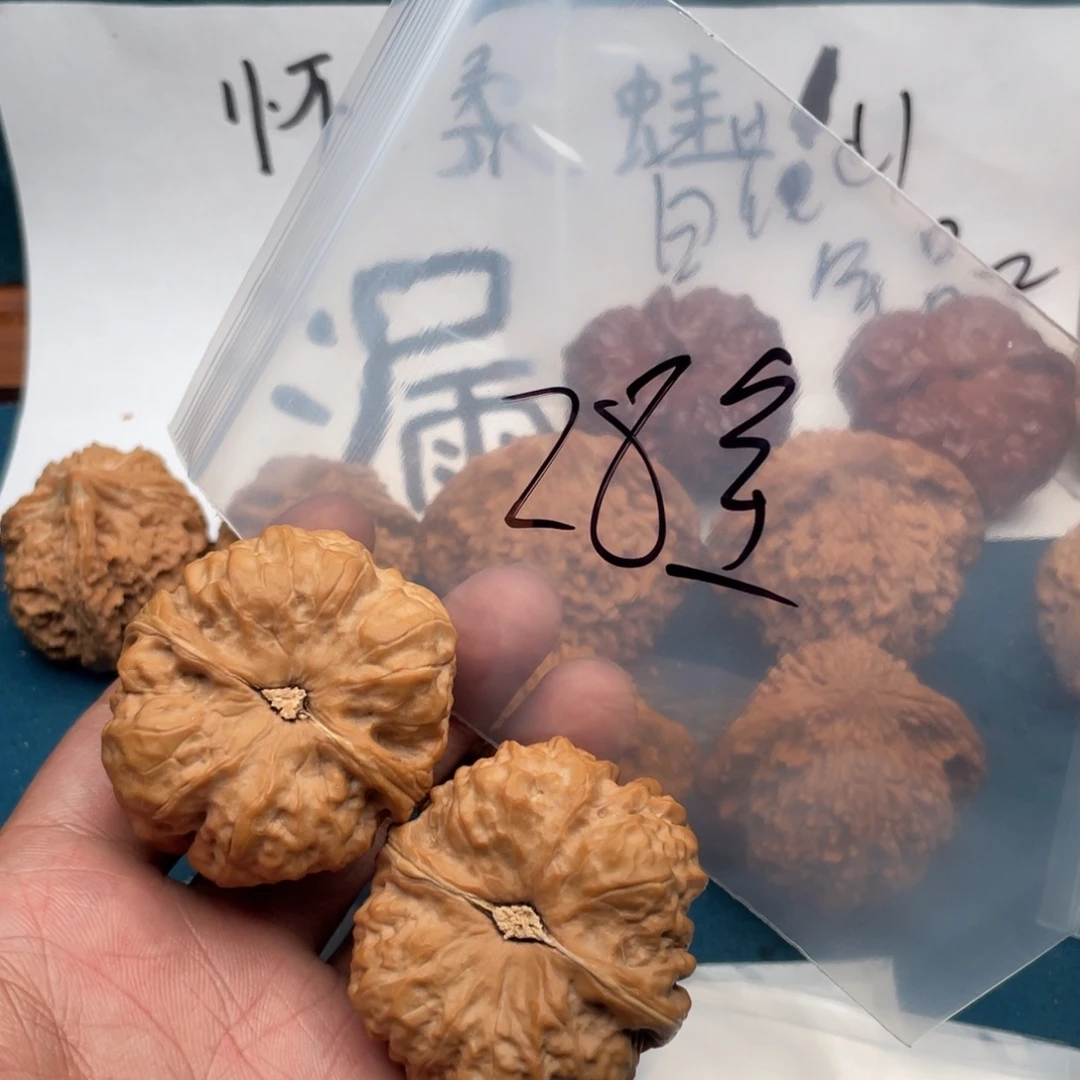 核桃7537535375373735757