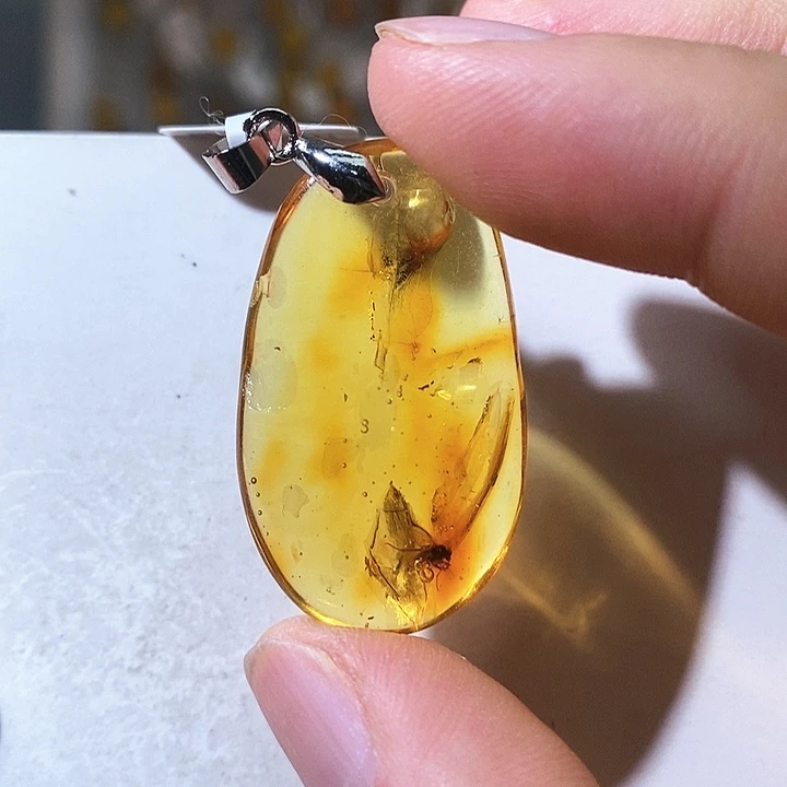 未镶嵌颈饰琥珀琥珀虫珀吊坠