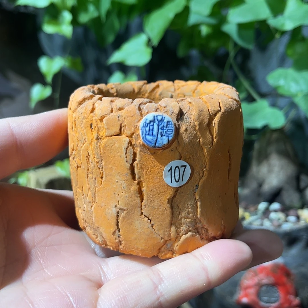 特价内口5外高5.5厘米左右