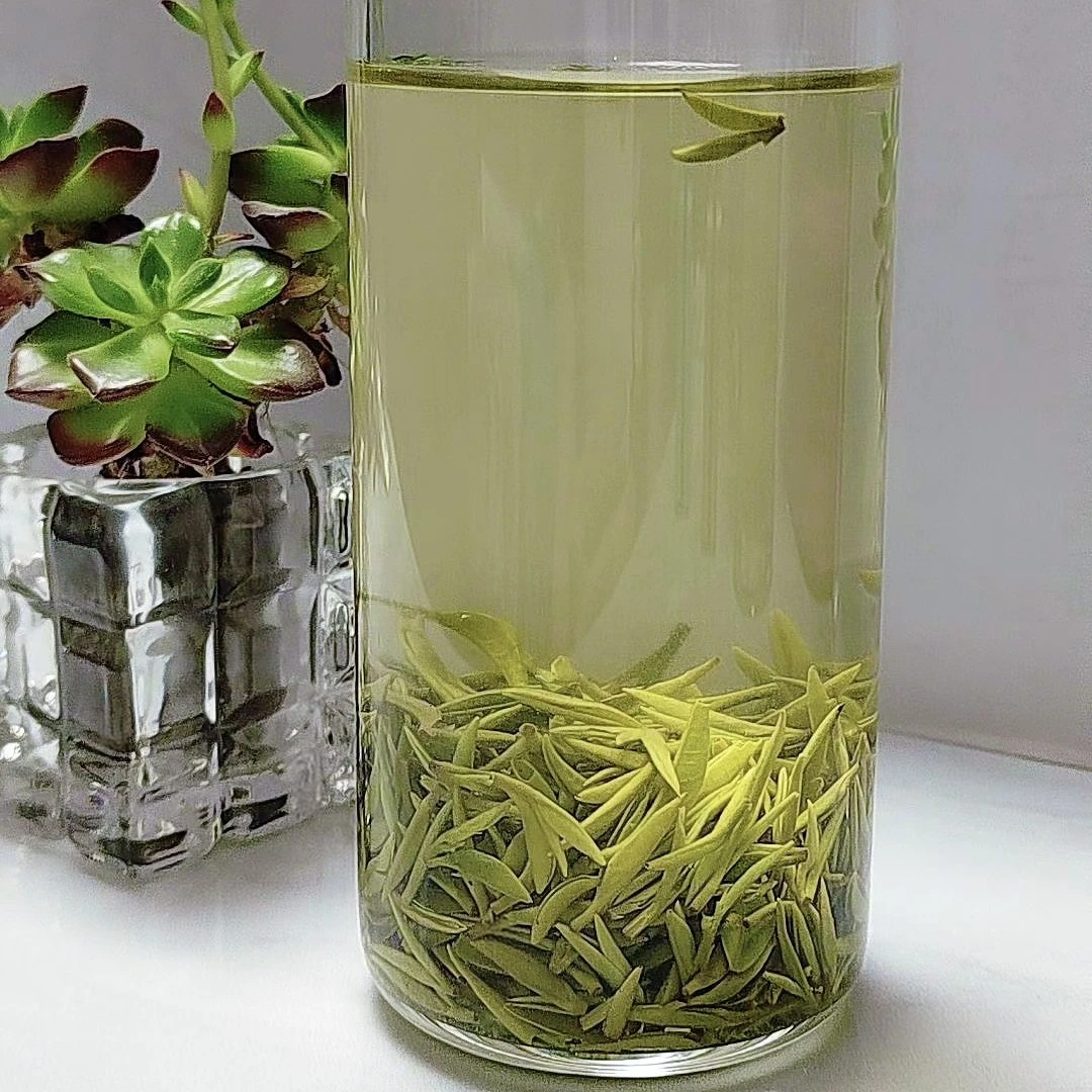 2025信阳毛尖雨前小芽集云山高山绿茶核心产区