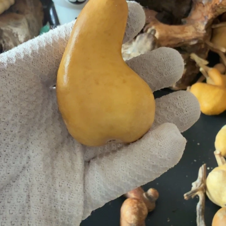 乐***女66666666666666666666