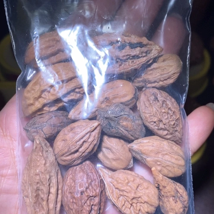 文玩核桃把件东北野生楸子小美4 8