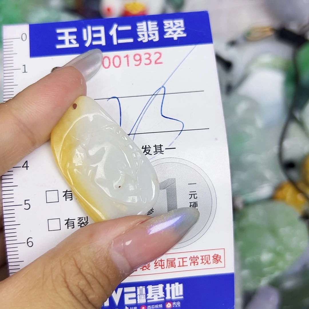 翡翠未镶嵌吊坠(不含链)111