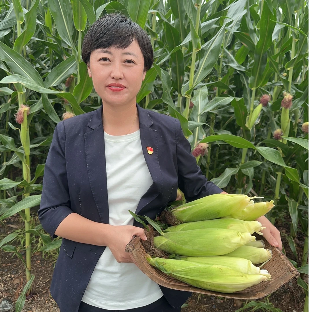 （试吃2棒）2025头茬现摘鲜玉米棒带叶东北白糯玉米10只装顺丰发货