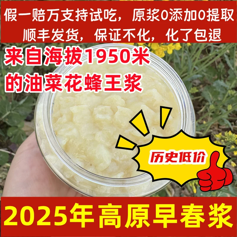 甘肃高原油菜花蜂王浆假一赔十春浆蜂初乳现采现冻顺丰冷冻运输