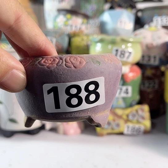 红陶多肉植物花盆