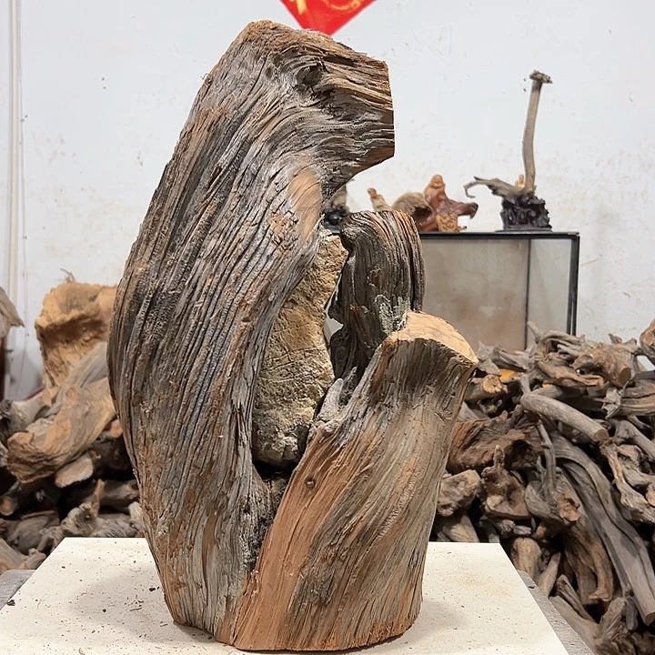 柏木苏*衣我们的生活也是如此