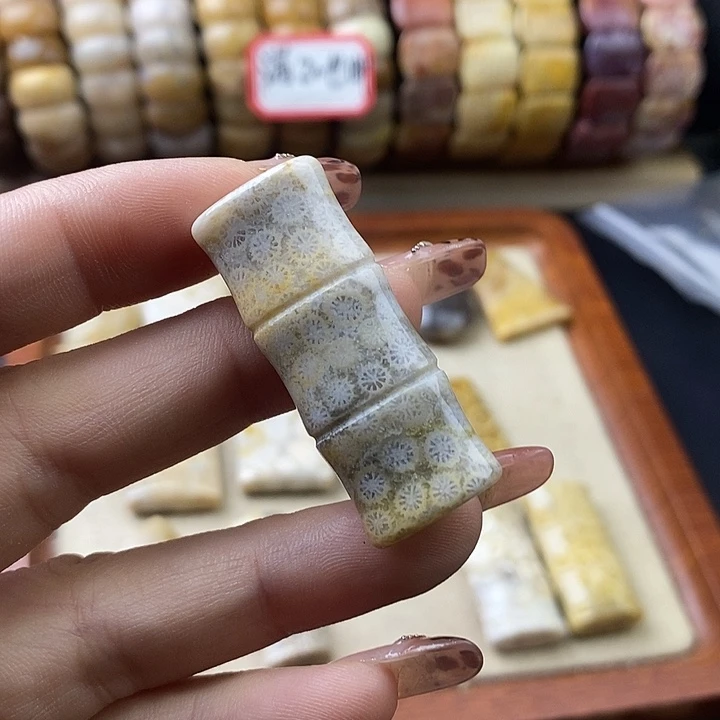 硅化珊瑚（珊瑚玉）未镶嵌颈饰