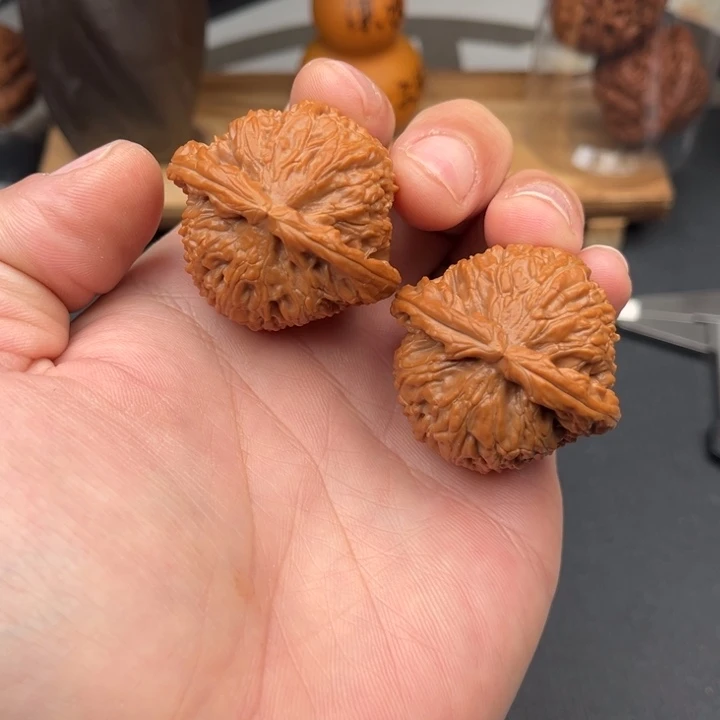 文玩核桃把件白狮子41