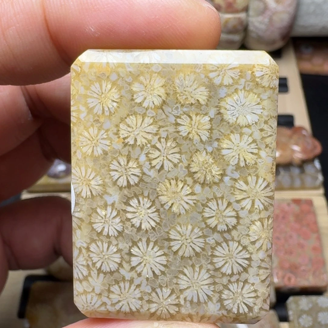 硅化玉未镶嵌纯天然色有机玉石保真色