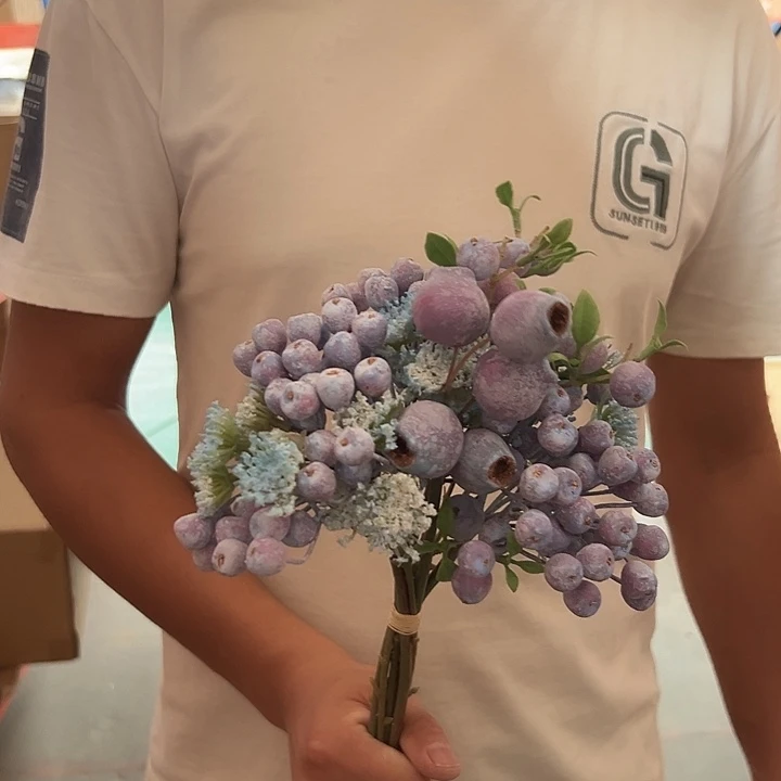拍品一口价蓝紫色小浆果