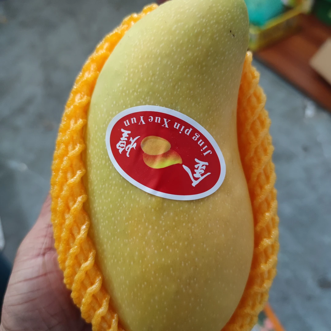 金煌芒 一个一斤多