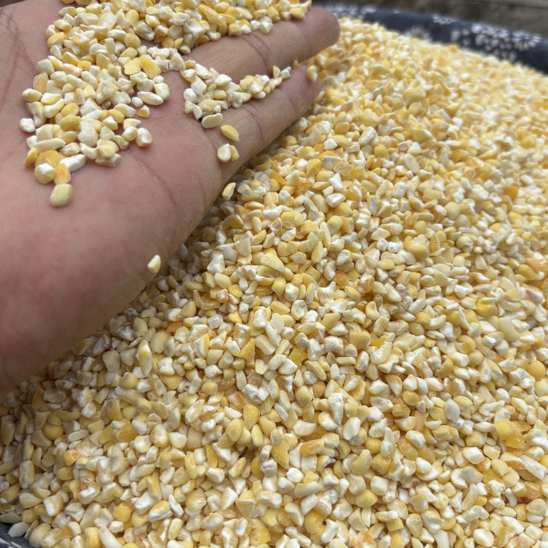 【香糯玉米碴】米饭伴侣 当即新粮 香糯小碴子 玉米碴子 粘玉米碴子
