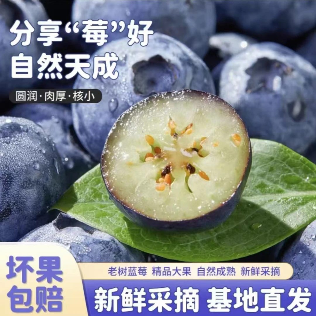 《顺丰/京东》包邮花香蓝莓鲜果当季新鲜水果孕妇官方现摘蓝梅整箱