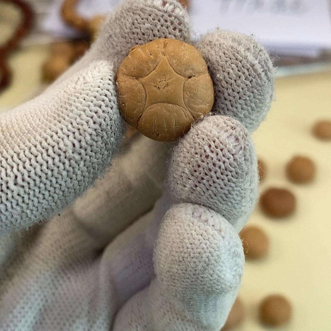 凤眼菩提吊坠五星单颗