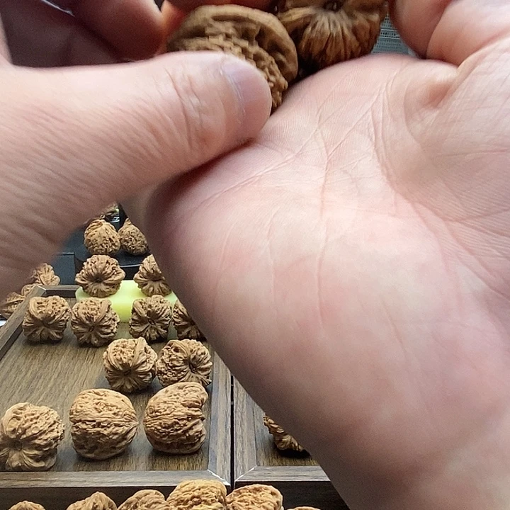 不***鱼大叶紫檀（黑酸枝木类）南疆