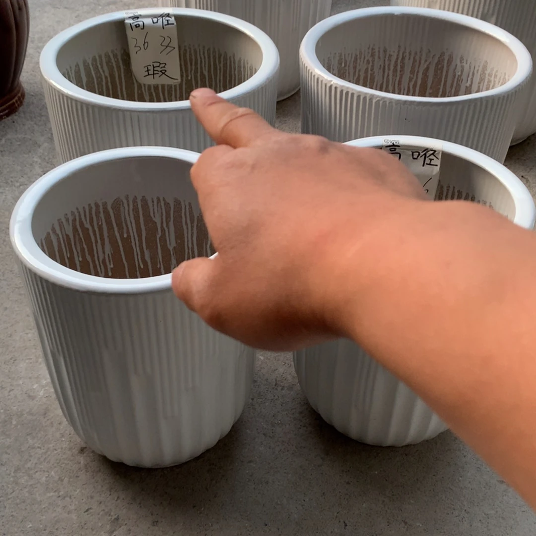 花盆里的小猫咪们都好