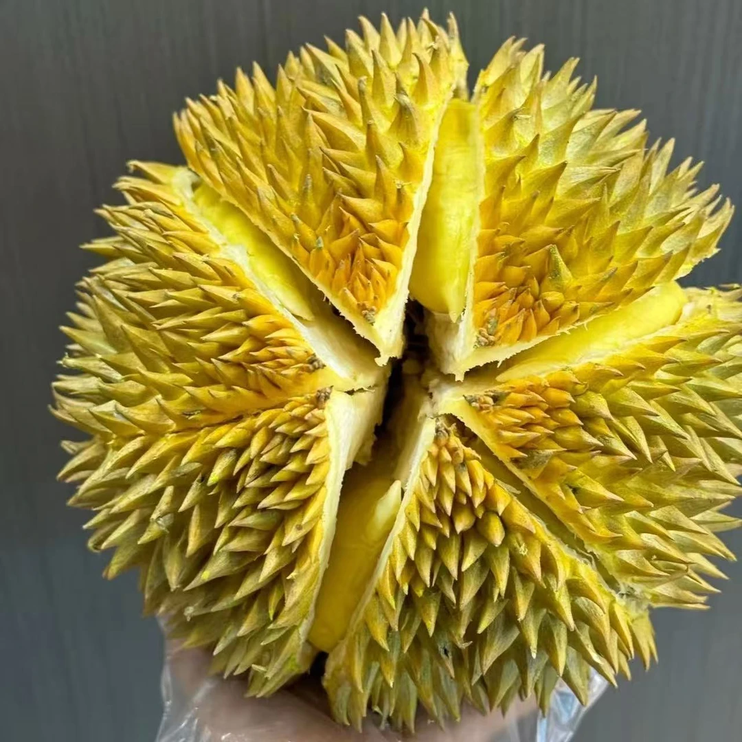 HG【一号】一物一拍泰国金枕榴莲10-15%水分蒸发请勿生切