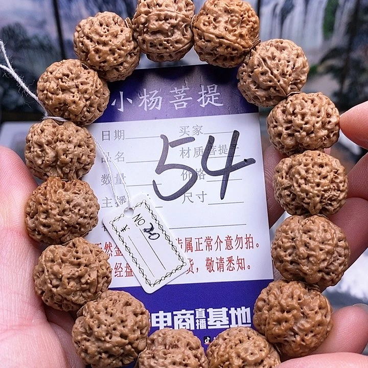 手串金刚菩提20.双龙