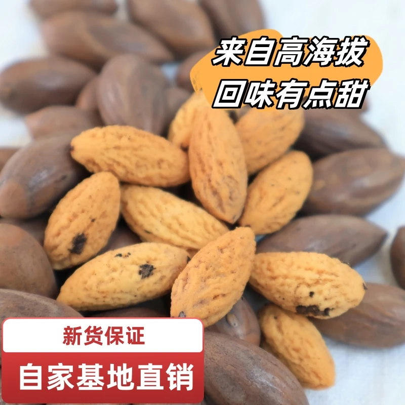 香榧2025高海拔新货香榧子基地直销坚果炒货零食