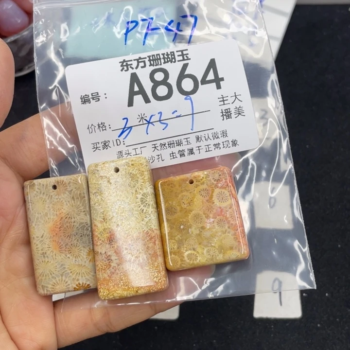 硅化珊瑚（珊瑚玉）颈饰合金P**7