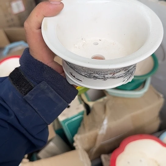 是一个不知名作家与著名导演兼电影演员