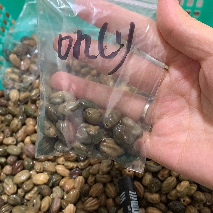 o***y千眼菩提吊坠龙脊