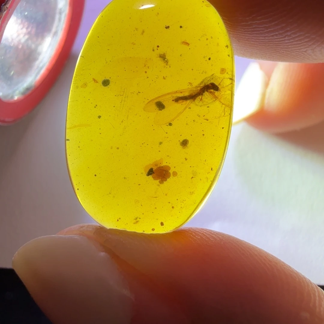 未镶嵌琥珀裸石18