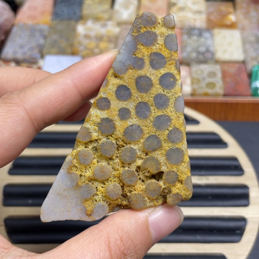 硅化玉未镶嵌颈饰k41