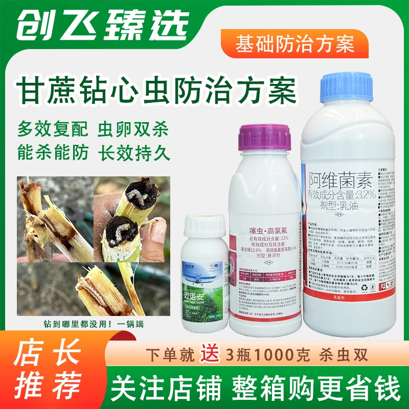 甘蔗高效防治钻心虫蚜虫虫卵双杀预防害虫高效氯氰菊酯噻虫嗪方案