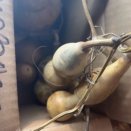 哈****酒葫芦葫芦葫芦葫芦