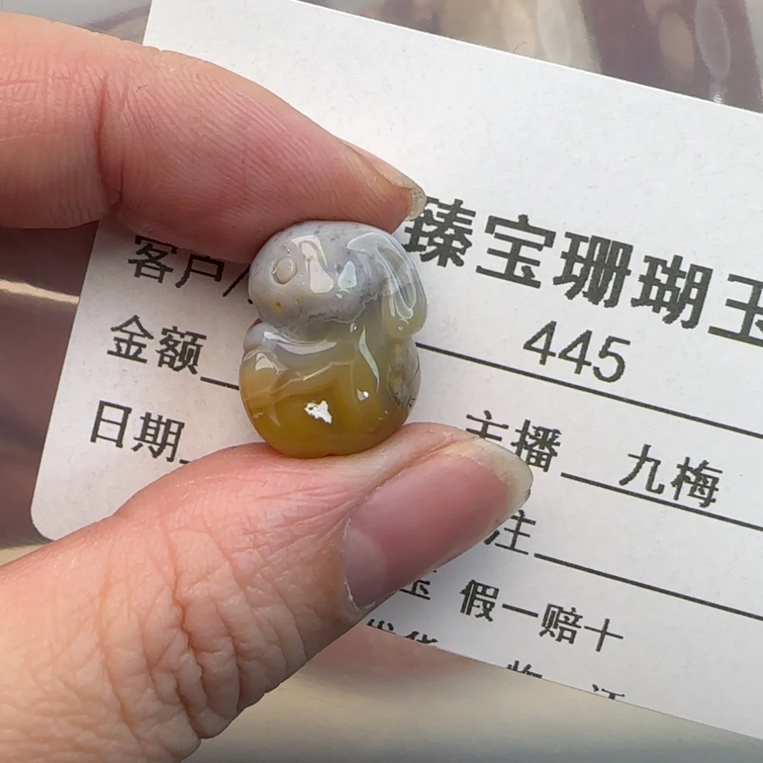 硅化珊瑚（珊瑚玉）未镶嵌吊坠(不含链)