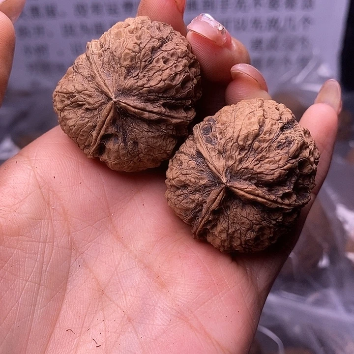 核桃云南野生铁核桃93号37mm