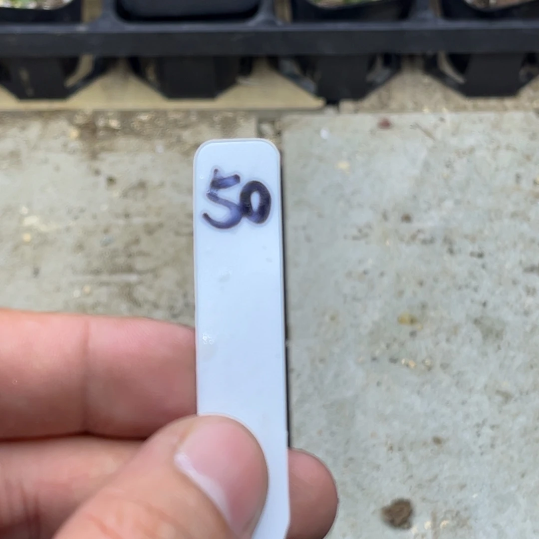 日***康50 脱土包邮8颗福利
