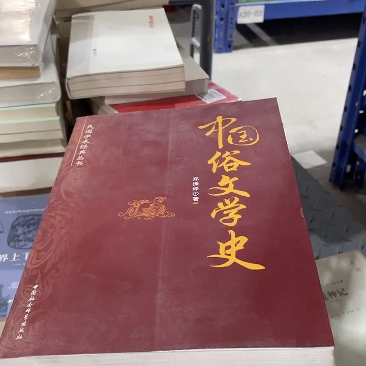 正版孤品平装文学史
