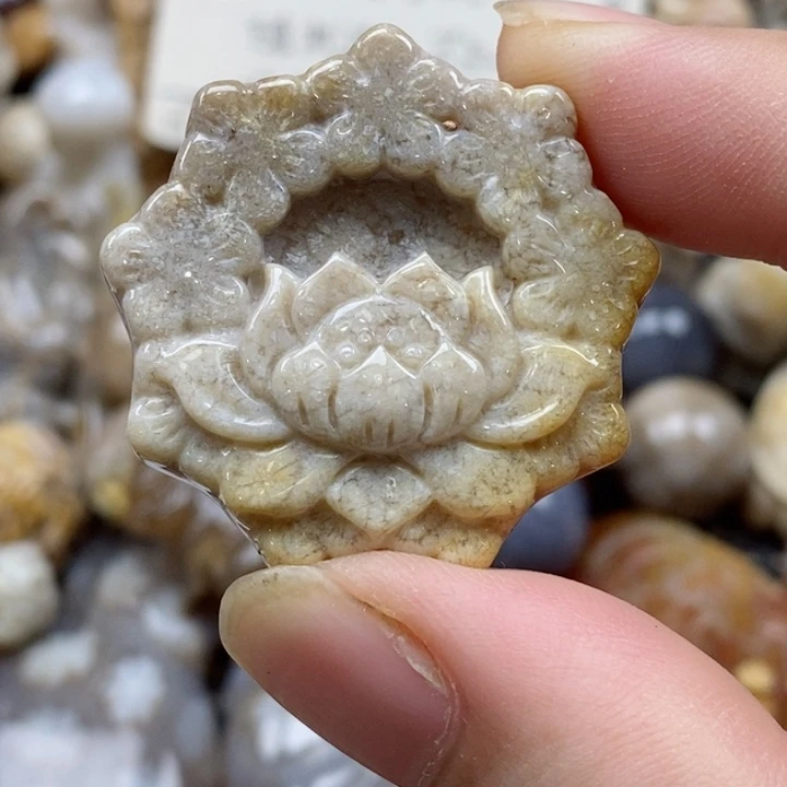 颈饰未镶嵌硅化珊瑚（珊瑚玉）小