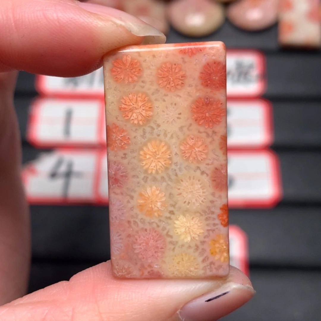 【闪购商品】硅化玉颈饰未镶嵌纸**凉