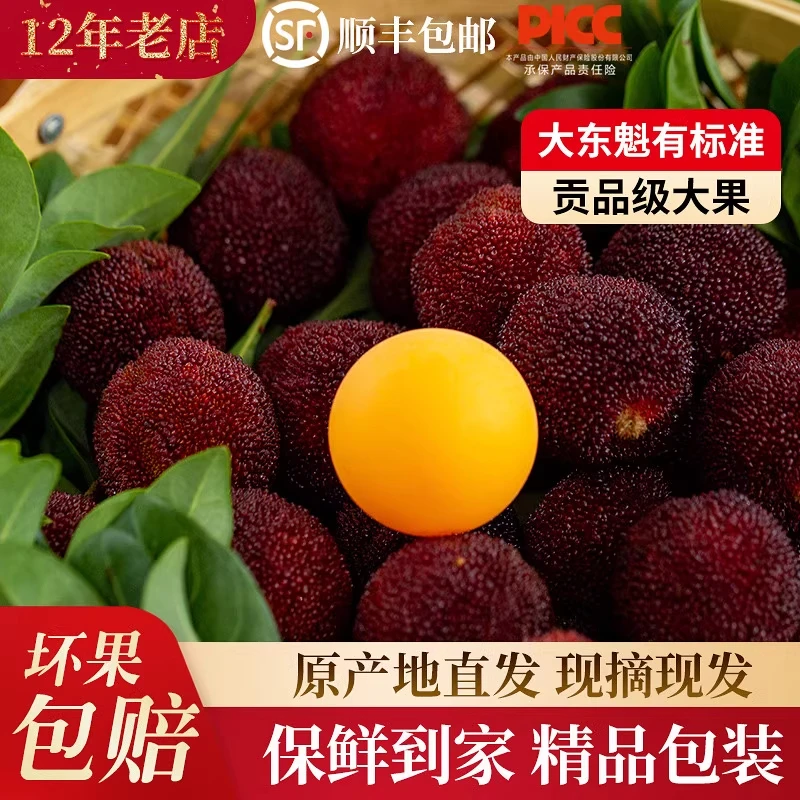【仙居杨梅】正宗浙江东魁杨梅鲜果现摘现发当季新鲜水果冷链空运